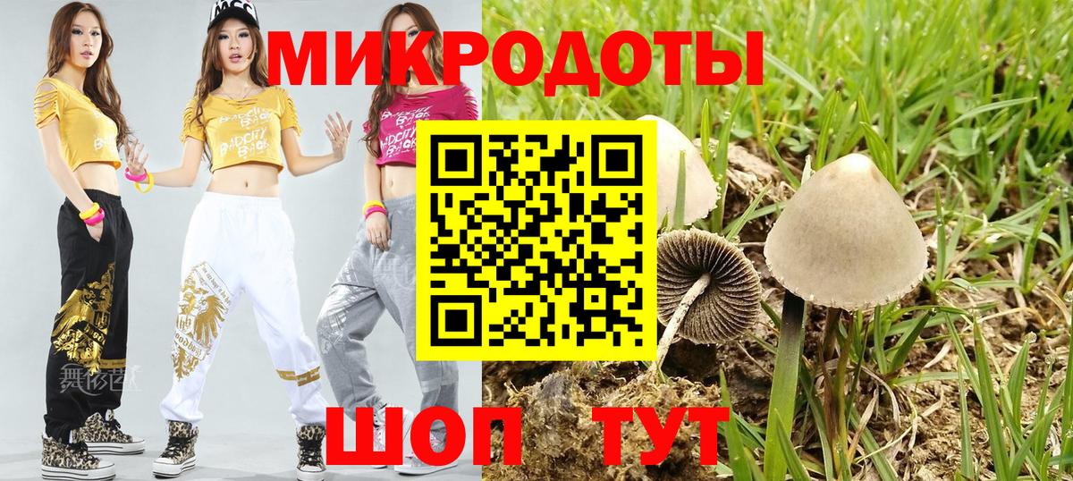 Галлюциногенные грибы MAGIC MUSHROOMS Братск